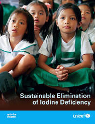 Copertina del rapporto "Sustainable Elimination of Iodine Deficiency"